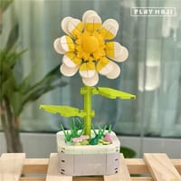 Daisy Potted Plants_img_1