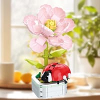 Ladybug Hibiscus Potted Plant_img_1