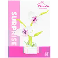 Phalaenopsis Potted_img_2