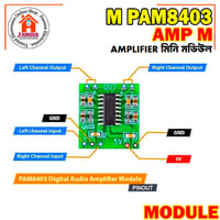 PAM8403 Digital Amplifier 3W Dual Channel_img_3