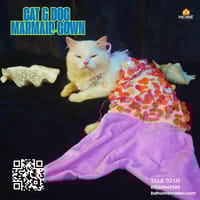 cat marmaid dress_img_6