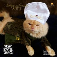 Sultansulaimon_img_0