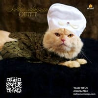 Sultansulaimon_img_3