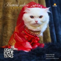 hurram sultana outfit 4 kg_img_1