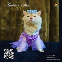 hurram sultana outfit 4 kg_img_1