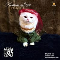 hurram sultana outfit  4 kg_img_2