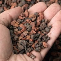 Yee Volcanic Chips(Bio Media) Repack/loose🌋 - 100gm_img_0