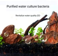 Yee Volcanic Chips(Bio Media) Repack/loose🌋 - 100gm_img_2