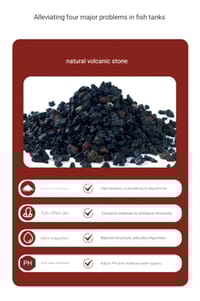 Yee Volcanic Chips(Bio Media) Repack/loose🌋 - 100gm_img_5