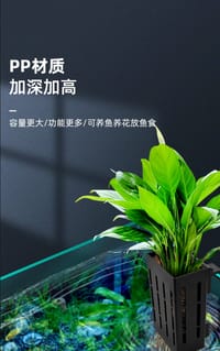 Hydroponic Planting Basket.🌱🧺_img_1