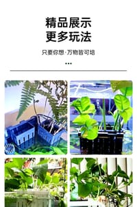 Hydroponic Planting Basket.🌱🧺_img_5