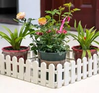 আকর্ষণীয় গার্ডেন ফেন্সিং।_img_6