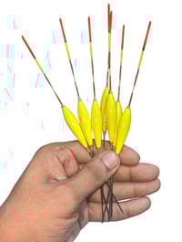 চায়না পাখনা_img_0