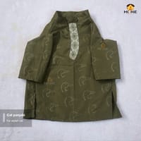 cat panjabi (8,7 kg)_img_0