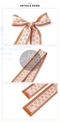 💥MATEYOYO Bag Accessories Silk Scarf_img_9