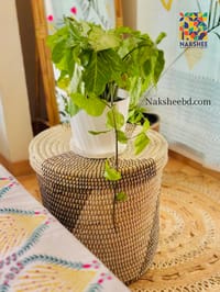 Laundry basket || লন্ড্রী বাস্কেট 20''/16'' size_img_6