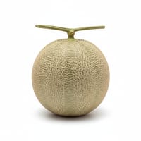 বাঙ্গি_img_0