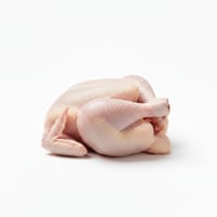 বয়লার মুরগী_img_0