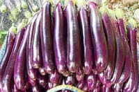 জনপ্রিয় লম্বা জাতের হাইব্রিড বেগুন বীজ।  begun Hybrid Eggplant Seeds_img_0