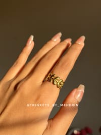 Stainless steel ring 6.0_img_1