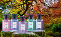 SALON’S AMORE Premium Car Perfume (160ml) – Made in Japan_img_6