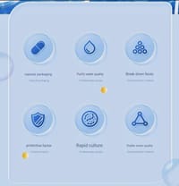 Nitrifying Bacteria Capsules - 5pcs pack💊_img_8