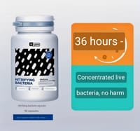 Nitrifying Bacteria Capsules - 5pcs pack💊_img_2