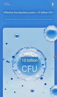 Nitrifying Bacteria Capsules - 5pcs pack💊_img_4