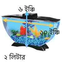 হাফমুন ২লিটার একুরিয়াম মাছ সহ ১১ আইটেম সেট_img_1