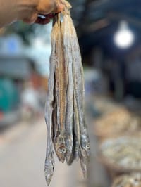 ছুরি শুঁটকি বড় সাইজ B (Churi Shutki)_img_0