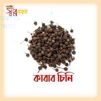 কাবাব চিলি_img_0