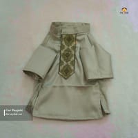 800 gm cat panjabi_img_1