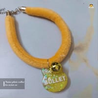 Nameplate collar_img_0