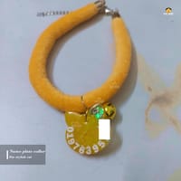 Nameplate collar_img_3