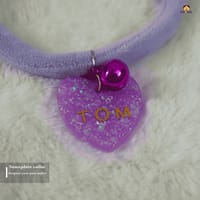 Nameplate collar_img_0