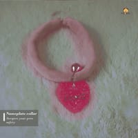 Nameplate collar_img_3