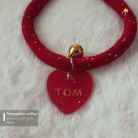 Nameplate collar_img_4