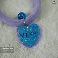 Nameplate collar_img_7