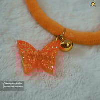 Nameplate collar_img_4