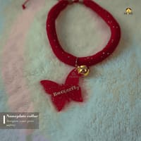 Nameplate collar_img_5