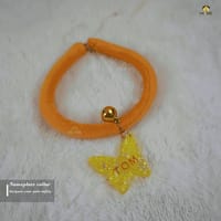 Nameplate collar_img_6