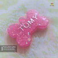 Nameplate collar_img_0