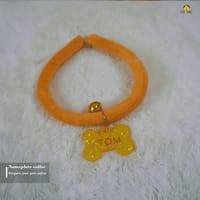 Nameplate collar_img_4