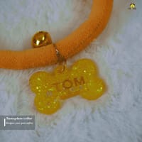 Nameplate collar_img_5