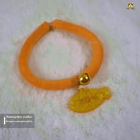 Nameplate collar_img_2