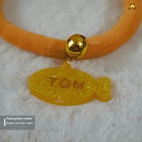 Nameplate collar_img_3