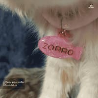 Nameplate collar_img_7