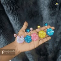 Nameplate collar_img_0