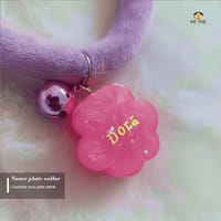 Nameplate collar_img_9