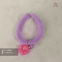 Nameplate collar_img_13